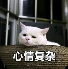 人可以吃猫粮吗？